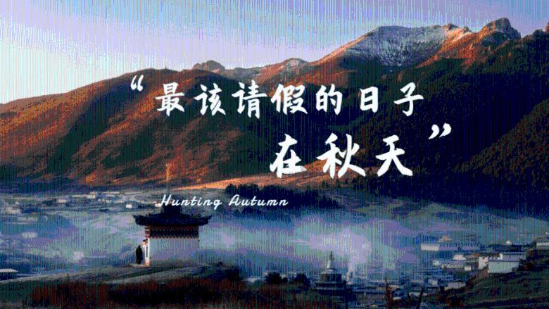 包菜炒肉是一道家常菜,看似简单,其实也有一些技巧和注意事项