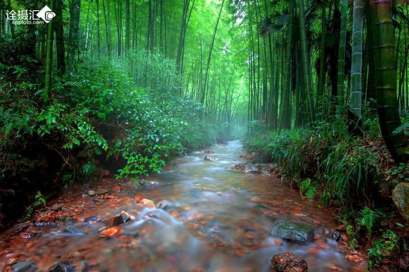 水果时尚风格