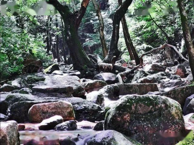 逃离幻想金字塔