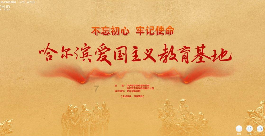 可爱小猫向上跳