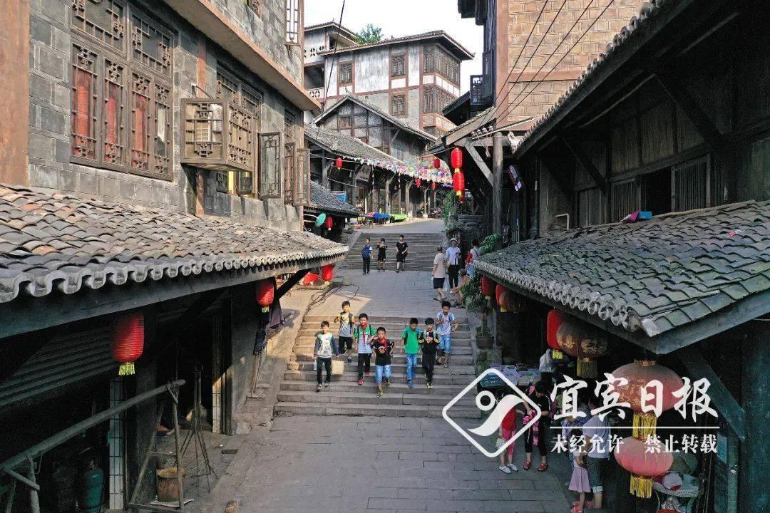 动物帮帮忙保卫家园